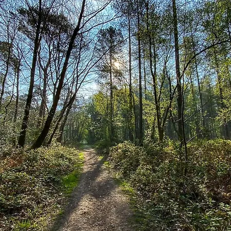 Logis & Restaurant - Le Relais De 酒店 蒙蒂尼