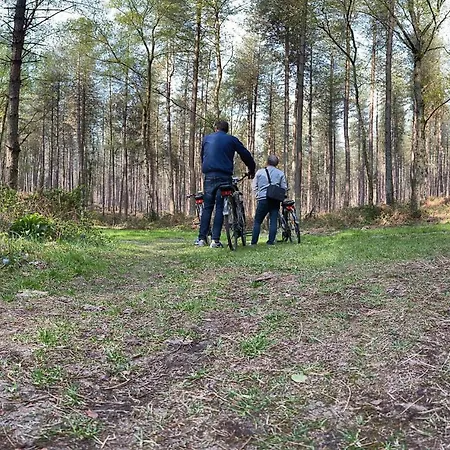 Logis & Restaurant - Le Relais De 酒店 蒙蒂尼