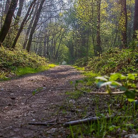 Logis & Restaurant - Le Relais De 酒店 3*