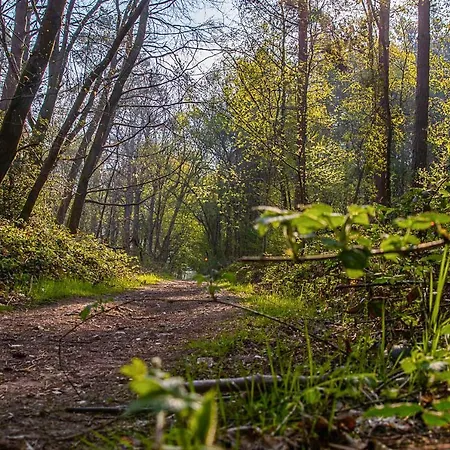 Logis & Restaurant - Le Relais De 蒙蒂尼