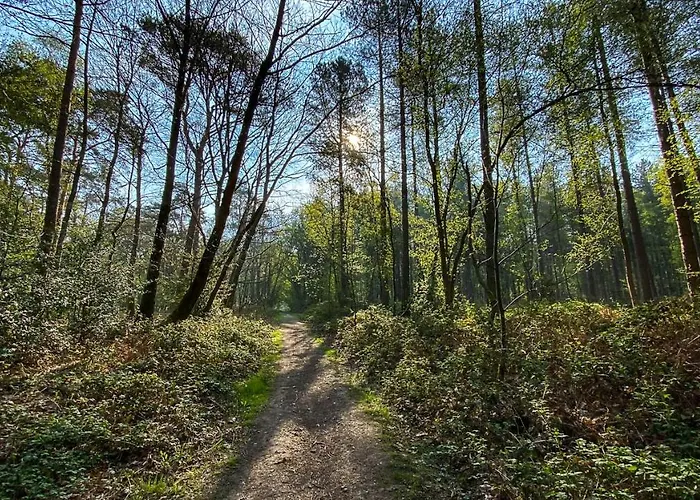 Logis & Restaurant - Le Relais De Hotel Montigny (Seine-Maritime)