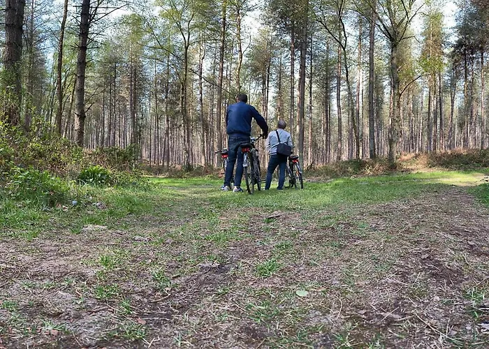 Logis & Restaurant - Le Relais De Hotel Montigny (Seine-Maritime)