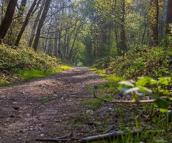 Le Relais De Hotel 3*