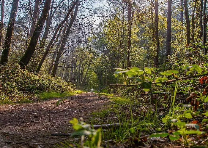 Le Relais De Montigny (Seine-Maritime)